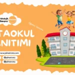 Ortaokul Tanıtım Öğrenci Sunumu